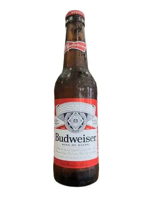 Budweiser Bottle 12OZ