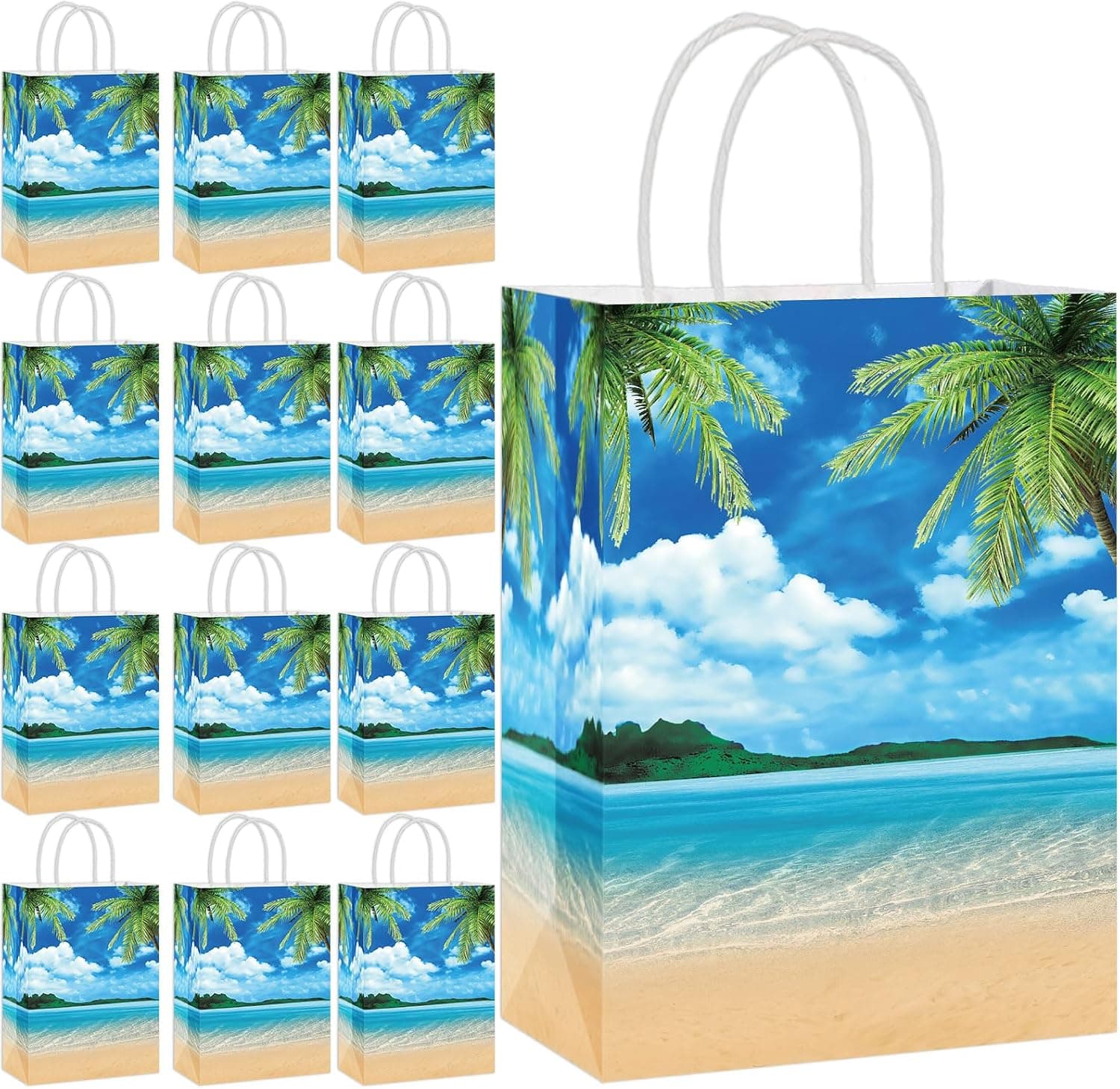 Beach Gift Bag