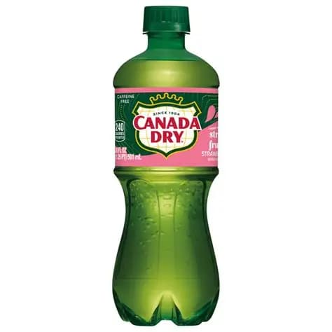 Canada Dry Strbry Frt Splash 20OZ