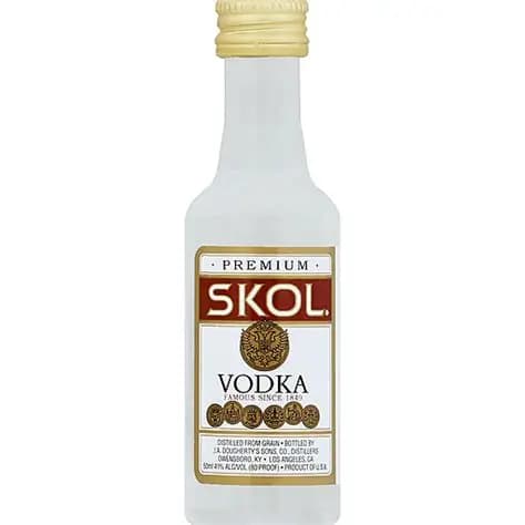 Skol Vodka 50ML