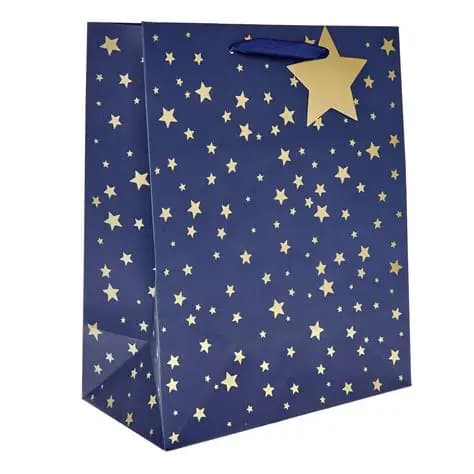 Star and Gift Box Bag