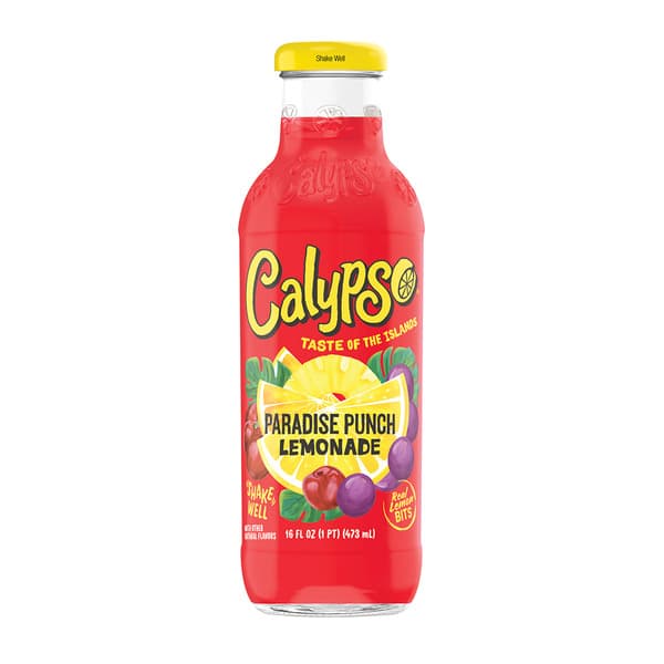 Calypso Paradise Punch 16OZ